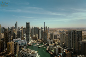 u5vnsrfx8p-1707811027