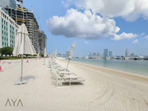 u5vnsrfx8p-1707811027