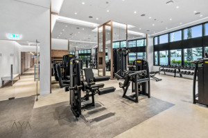 u5vnsrfx8p-1707811027