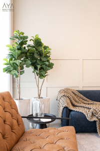 u5vnsrfx8p-1707811027