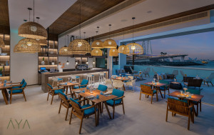 u5vnsrfx8p-1707811027