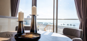 u5vnsrfx8p-1707811027