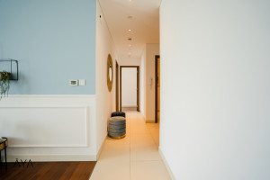 u5vnsrfx8p-1707811027