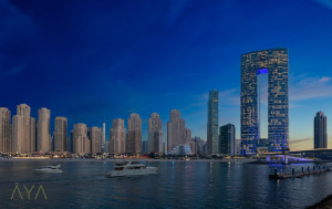 u5vnsrfx8p-1707811027