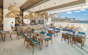 u5vnsrfx8p-1707811027